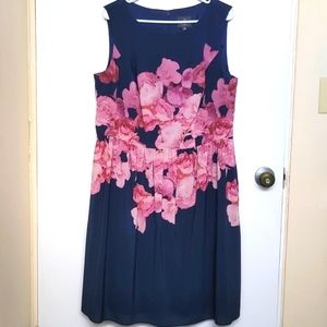 ADRIANNA PAPELL BLUE AND PINK FLORAL PRINT A-LINE DRESS (14W)